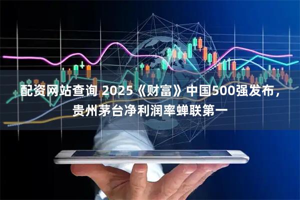 配资网站查询 2025《财富》中国500强发布，贵州茅台净利润率蝉联第一